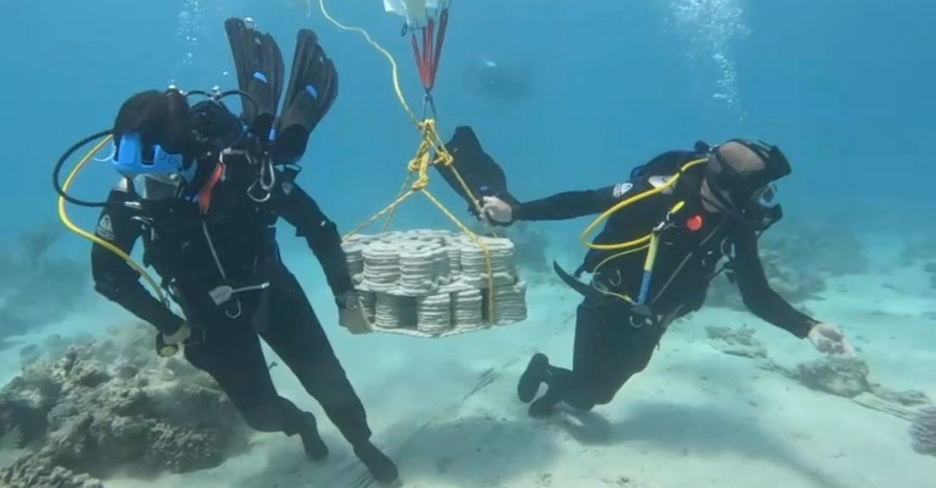 The deployment process of brine concrete in the form of tiles to enhance marine restoration on the islands of the Red Sea
